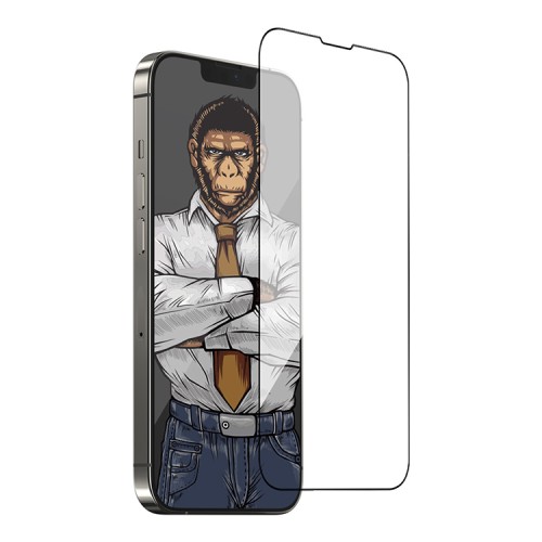 Защитное стекло BLUEO USA Corning Gorilla Full Glue Anti-Static для iPhone 13 | 13 Pro