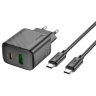 HOCO сетевое зарядное устройство CS23A Sunlight charger set Type-C PD30W + USB-A QC3.0 +кабель C-to-C Black
