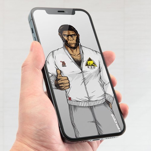 Защитное стекло BLUEO Silk Full Cover Anti-Static для iPhone 12 Pro Max