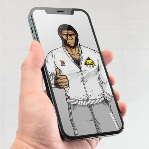 Защитное стекло BLUEO Silk Full Cover Anti-Static для  iPhone 11 /XR