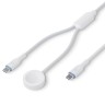 Energea ЗУ для Apple Watch Bazic GoCharge Deuce 2in1 кабель USB-C to C +AW chager 1.8m White